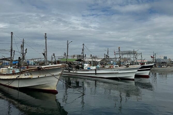 Near KIX Fishing Market Tour With Local Guide