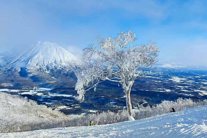 Niseko to Chitose Airport or Sapporo Private Transfer