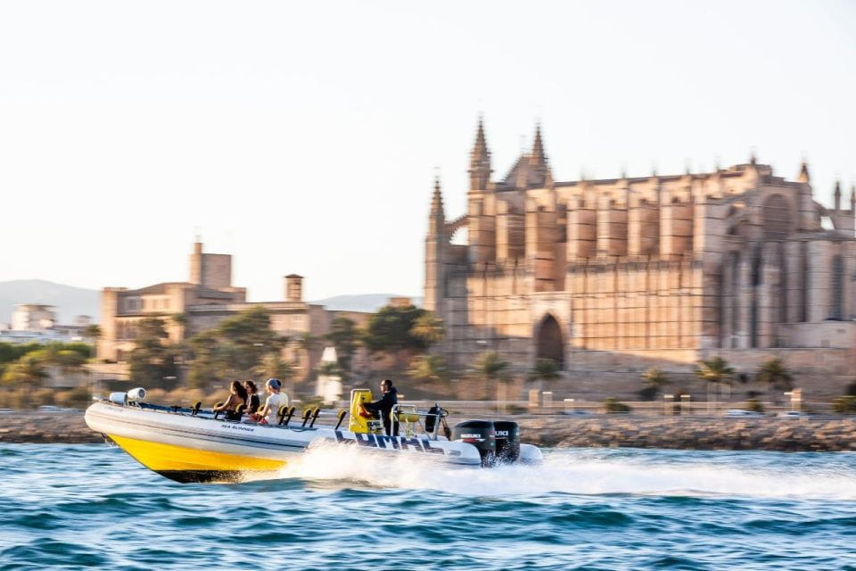Palma Bay: Speedboat Discovery Tour