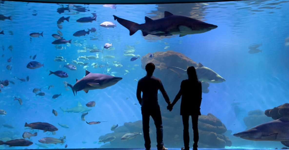 Palma: Palma Aquarium Ticket With Transfer Service - Ticket Pricing and Options