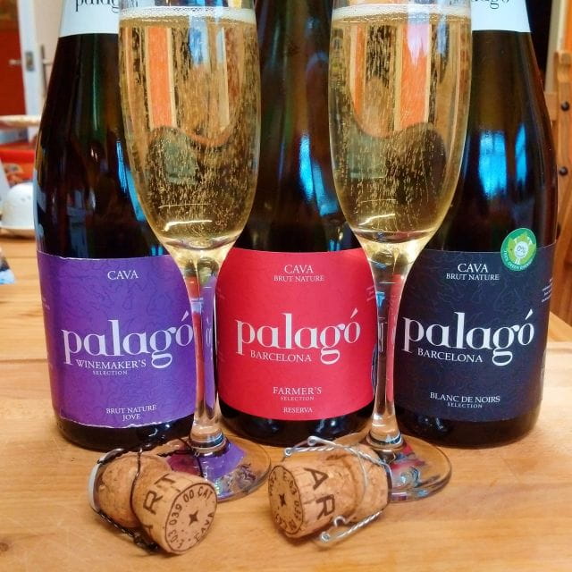 Penedès Vine to Wine: Personalized Cava Taste & Craft Workshop - Exploring Penedès Ancient Farmhouse