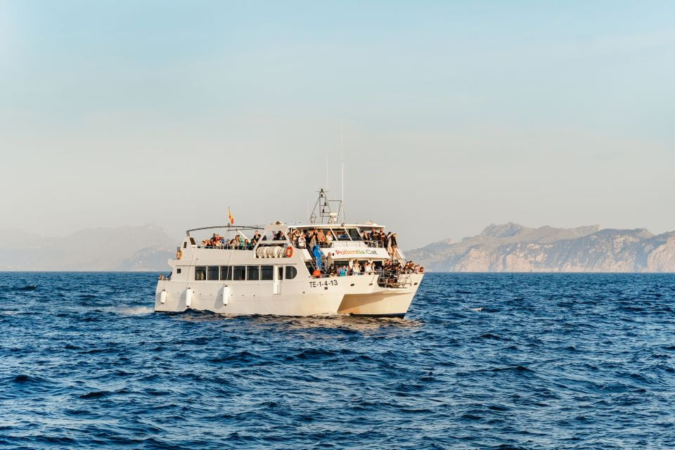 Port Dalcudia: Sunrise at Sea & Dolphin Watching Boat Tour - Tour Overview