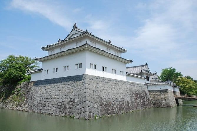 Port Pick-Up: Shizuoka Tour With Licensed Guide and Vehicle - Tour Overview