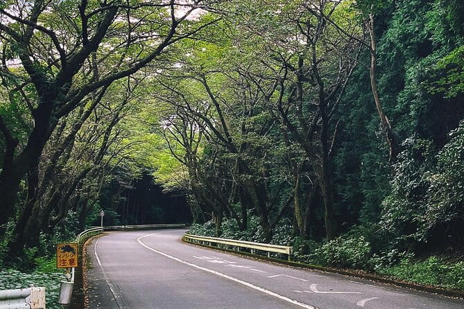 Private 1 Day JDM/Sports Car Tour to Mt Fuji, Hakone, and Onsen - Stunning Views of Mt Fuji