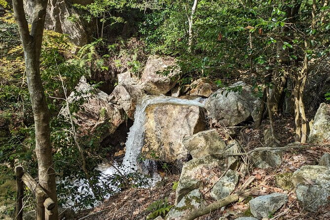 Private 3 Hours Waterfalls Sightseeing Tour - Inclusions