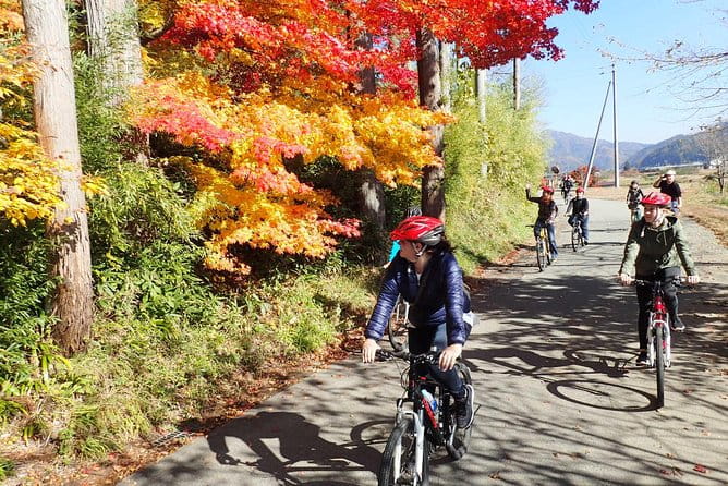 Private Afternoon Cycling Tour in Hida-Furukawa