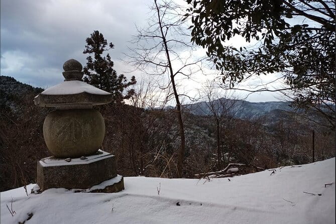 Private Guided Half-Day Walking Tour in Yoshinoyama