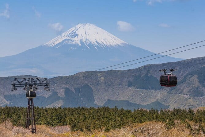 Private Hakone Tour With a Luxury Van