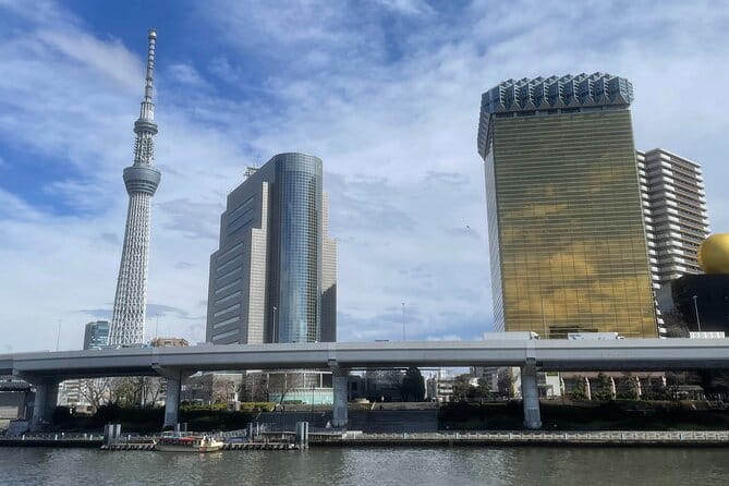 Private Tokyo Tour With Local Guide - Tour Overview and Details