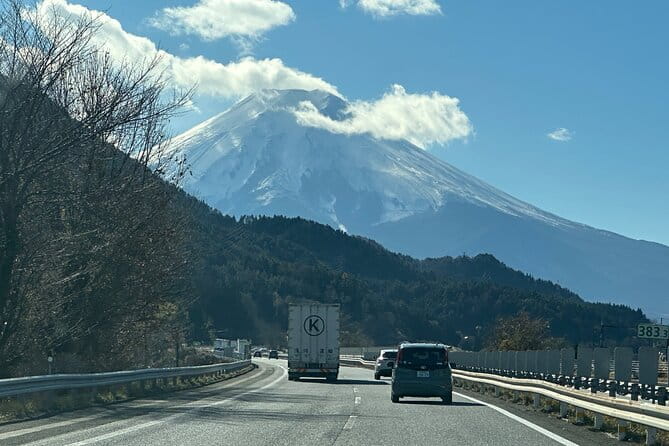 Private Tour to Mt Fuji and Hakone With English Speaking Driver