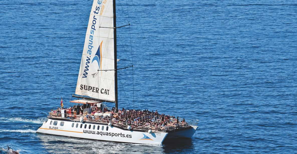 Puerto Rico : 2 Hour Dolphin Catamaran Excursion - Overview of the Excursion