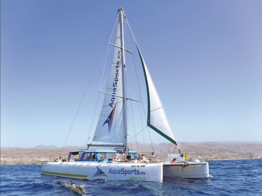 Puerto Rico: 4-Hour Catamaran Excursion in the South - Overview of the Excursion