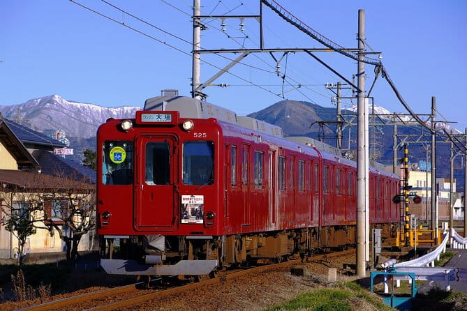 Sakura 1 Day Tour With Charter Train and Boat From Nagoya - Tour Overview