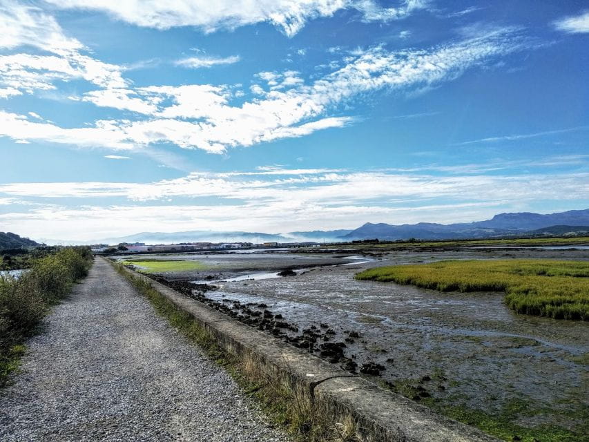 Santona: Canning Factory and the Marshes Tour With Tasting