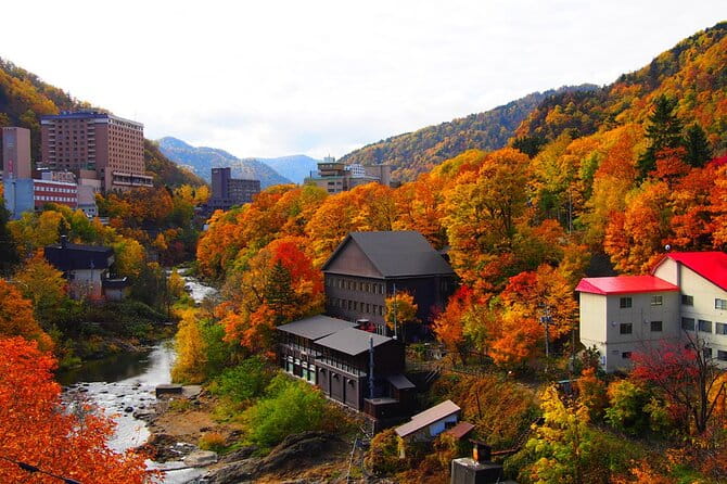 Sapporo Private Sightseeing Tour in Onsen With Special Package - Tour Overview
