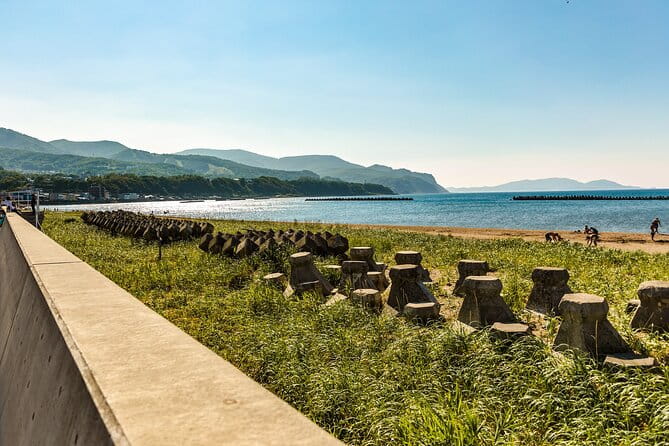 Sapporo Private Tours With Locals: 100% Personalized, See the City Unscripted - Discover the Essence of Sapporo With a Local Guide