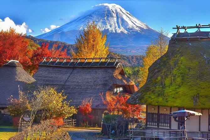 Scenic Spots of Mount Fuji Full Day Sightseeing Tour From Tokyo