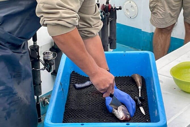 Setouchi Fishing and Culinary Adventure