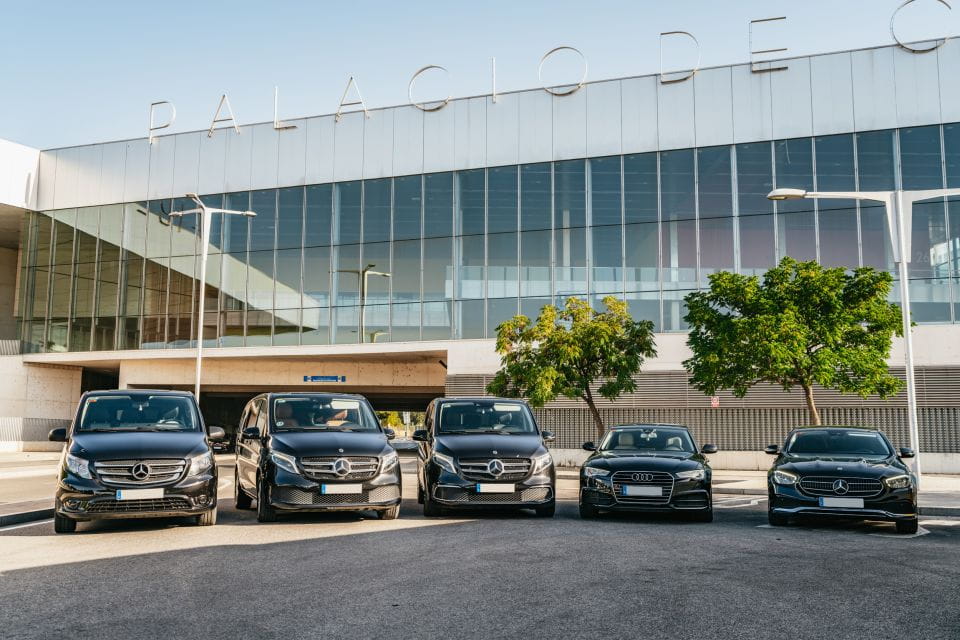 Seville: Private 1-Way Airport or Train Station Transfer - Overview of Transfer Service