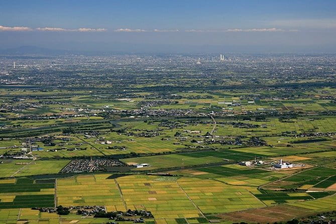 Shared Arrival Transfer : Chubu Nagoya Airport to Nagoya City - Pickup and Drop-off Details