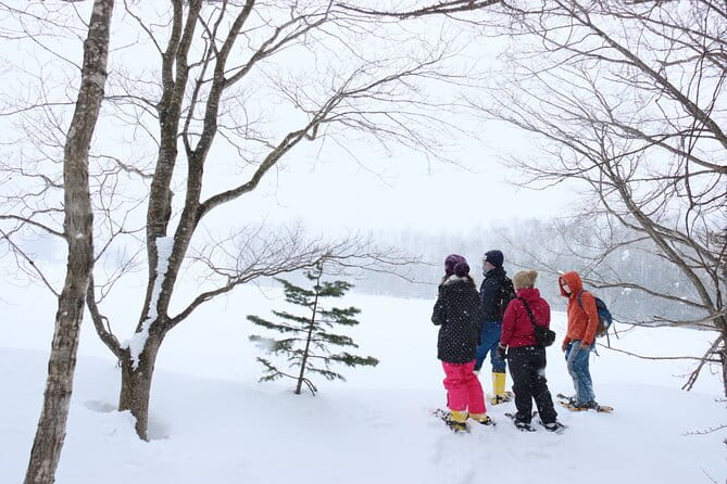 Snowshoe Tours in Niseko Explore Beautiful Snowscapes Adventure - Tour Overview