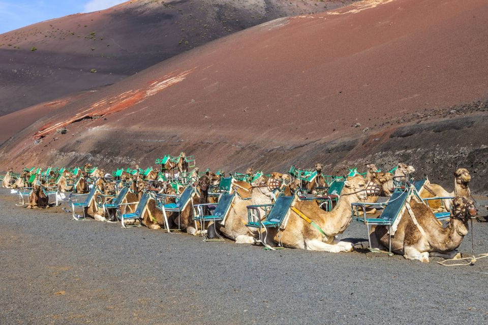 South Tour: Timanfaya National Park