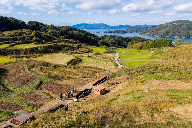 Spectacular Terraced Rice Field Walking Experience - Overview of the Experience