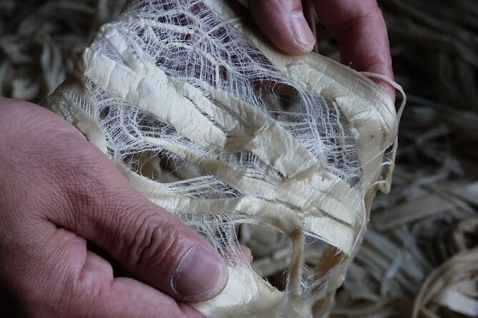 Spirit of Craftsmanship in Japanese Papermaking in Echizen - About the Activity