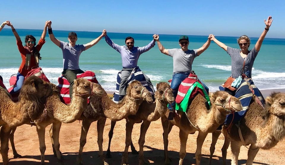 Tangier Private Day Trip From Tarifa (Add-On: Ferry Tickets) - Overview of the Day Trip