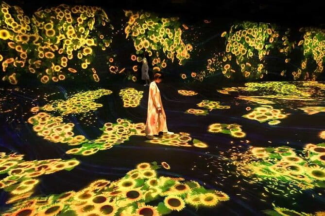 Teamlab Forest Fukuoka an Immersive Art Experience Ticket - Ticket Information