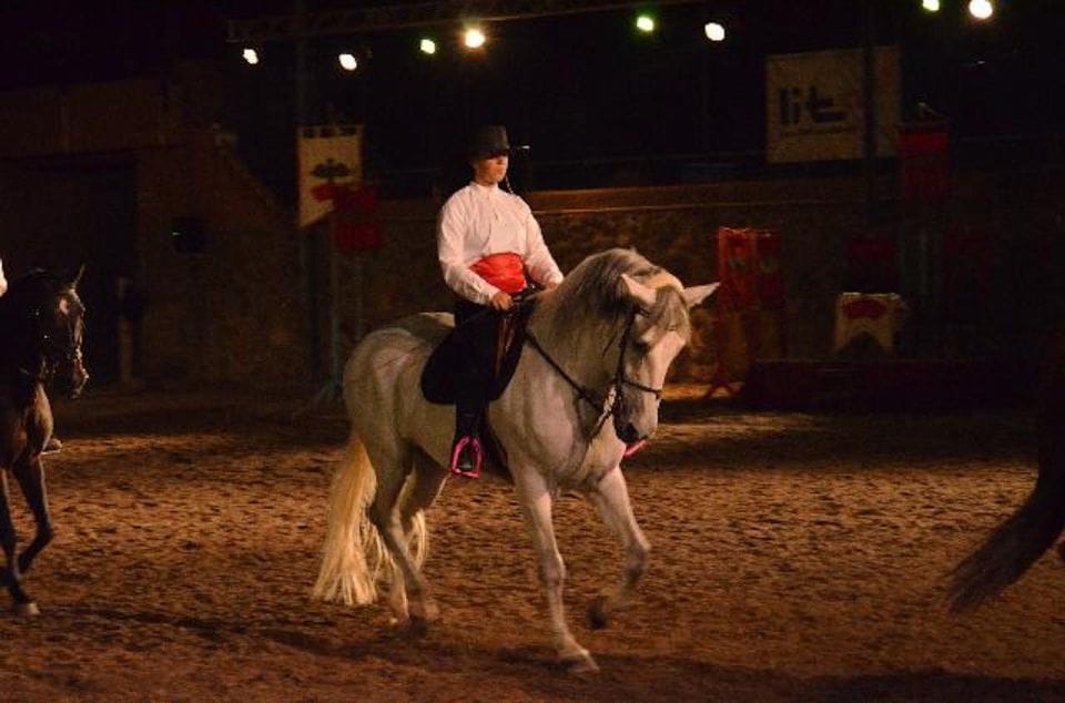 Tenerife: Horse Show Entry Ticket With Optional Dinner - Ticket Pricing Details