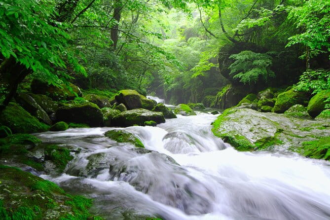 The Aso Caldera & WAGYU Lunch One Day Tour From Fukuoka