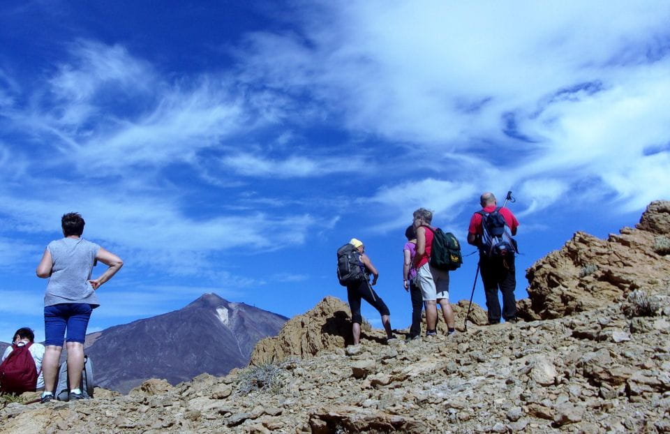 The Wow Factor Walk - Activity Overview