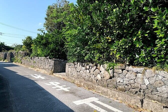 Tokashiki Island Day Tour and Snorkeling Kerama Blue