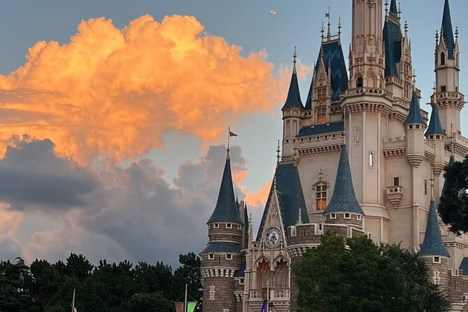 Tokyo Disneyland Admission Tickets - Ticket Details