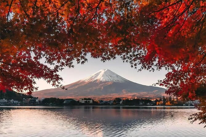 Tokyo: Instagram-Worthy Mt Fuji & Lake Kawaguchiko Day Trip