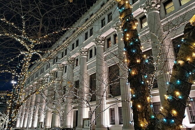 Tokyo Winter Illumination Ebike Tour - Tour Overview