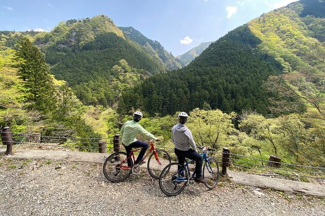Tokyos Hidden Nature Cycling Tour - Okutama Historical Road Tour - Navigating the Okutama Historical Road