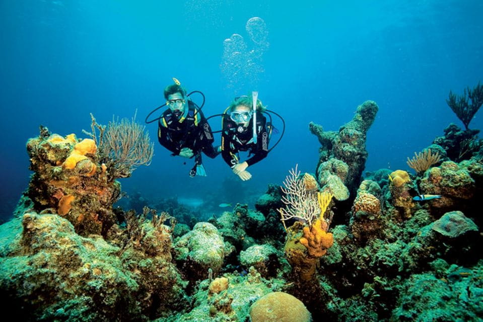 Tossa De Mar: Scuba Diving Experience for Beginners - Inclusion and Requirements
