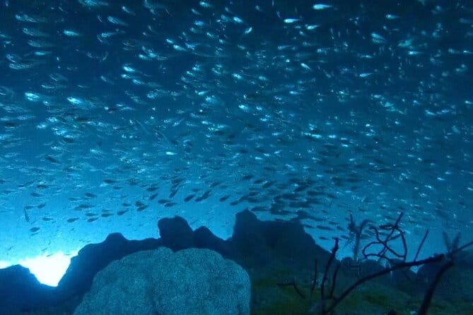 Trial Diving Tour That Even Inexperienced People Can Enjoy Safely - Tour Overview