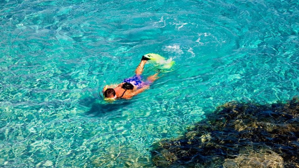 Valencia: Tabarca Island Full-Day Trip - Trip Overview and Pricing