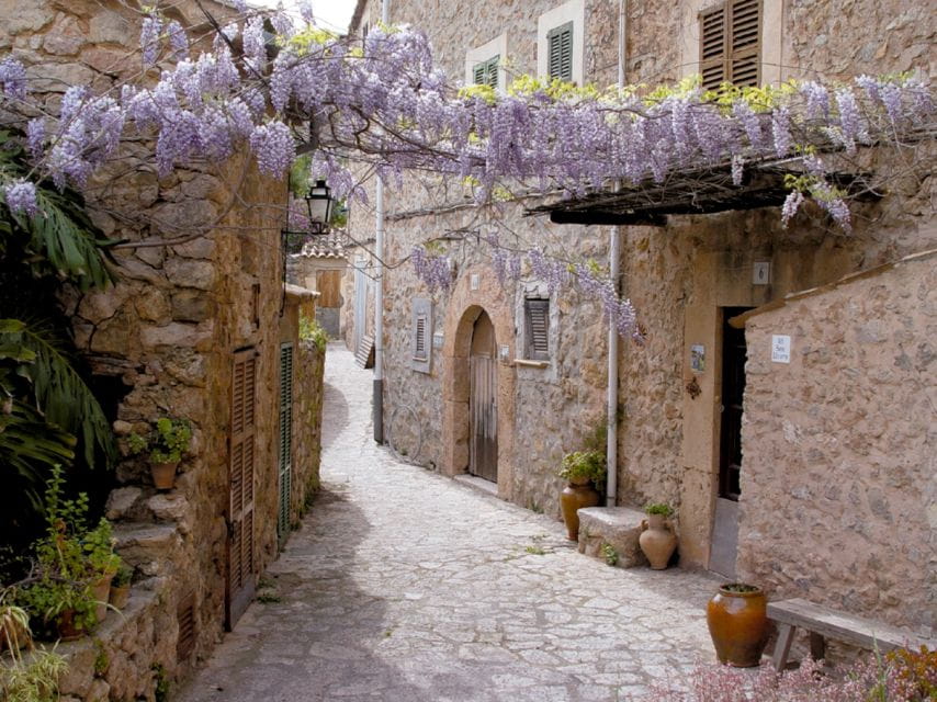 Valldemossa: Discover Valldemossa With a Transfer From Palma - Overview of Valldemossa