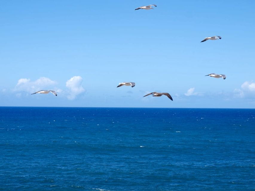 Wild Romantic Beaches – West Coast Guided Walk