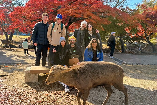 World Heritage Kyoto & Nara Uji Authentic Matcha Experience