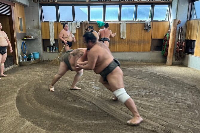 Yokuzuna Sumo Stable Morning Practice in Osaka