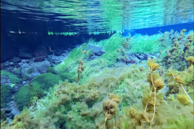 Private Fuji Spring Water Alcohol Distillery Tour（hotel Pick-up） - Pickup Details and Locations