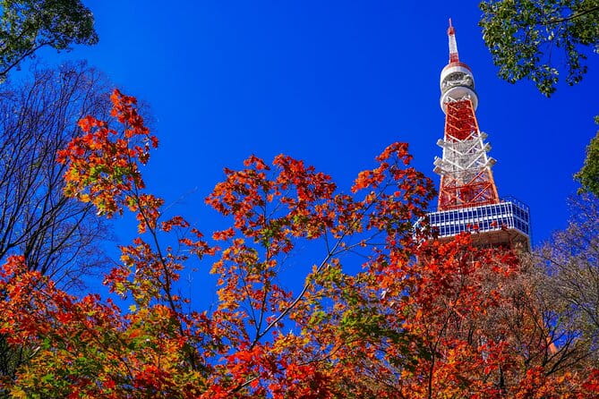 All Inclusive・Private Tour Make Your Own Tokyo Adventure - Enjoy the Comfort of Private Transportation
