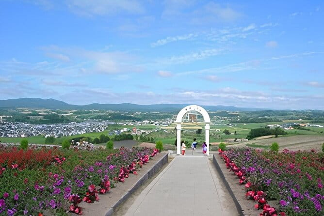 Hokkaido Furano and Biei Private Day Tour（Depart From Sapporo） - Accessibility and Participation