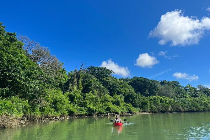 Mangrove Kayak & Sea Fishing Experience in Okinawa - Pricing and Reservations