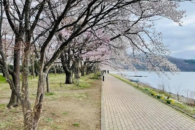 Mt Fuji Kawaguchiko Oishi Park Oshino Hakkai & Gotemba Tour|Tokyo - Traveler Requirements and Recommendations